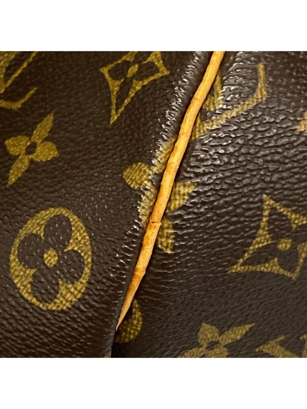 Louis Vuitton category handbag